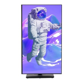 인터픽셀 QHD 평면 75Hz IPS 게이밍 모니터, 68.5cm, IPQ2720(일반)