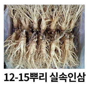 실속형 가정용인삼 5년근12-15 뿌리 무료세척 난발삼 삼계탕용 인삼쥬스 금산인삼, 세척원하지않아요(x), 1개