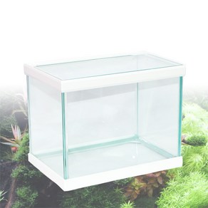 샘아쿠아 FBox 30cm 직사각 어항 30.7x20.7x23.5 화이트, 30.7 x 20.7 x 23.5cm, 1개