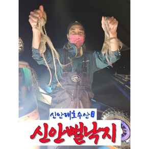 [당일잡이최저가]신안 무안 뻘낙지 산낙지 세발 싱싱한것만 배송 살아서도착 낙지, 5개, 2) 중소낙지(80g~100g)