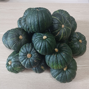 [사전예약]25년 햇 제주산 미니 단호박 제철 밤호박 보우짱 200~700g, 1박스, 5kg내외