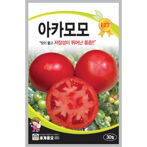 토마토 아카모노 30립 세계종묘 씨앗, 1개