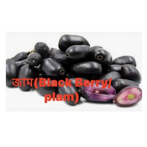 S.N. FOOD FROZEN BLACKBERRY(PLUM)(냉동 블랙베리)방글라데시과일500g (1+1)세일 총2팩, 미개봉상태에서 24시안으로 반품가능, 500G, 2개