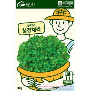 새싹씨앗 청경채싹(30g) 아시아종묘/새싹채소 씨앗, 1개