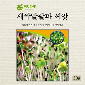 다농 새싹알팔파 씨앗 30g, 1개