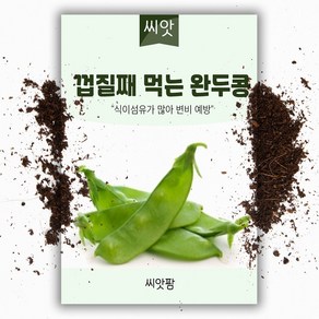 껍질채 먹는 완두콩씨앗(20g), 1개