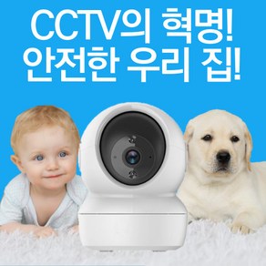 가정용 cctv 홈캠 펫캠 와이파이 홈 카메라 애견 가게 왕눈이캠, 고정형, 1개