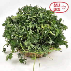 참새마켓 향긋한 노지 쑥, 1개, 1kg