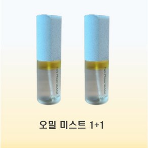 인셀덤 발라또 오일 미스트, 45ml, 2개