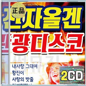 2CD 전자올겐 관광디스코 경음악 내사랑그대여 터미널 진짜멋쟁이 카스바의여인