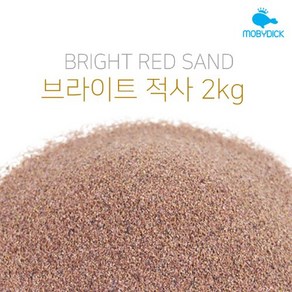 브라이트 적사 2kg, 단품, 1개