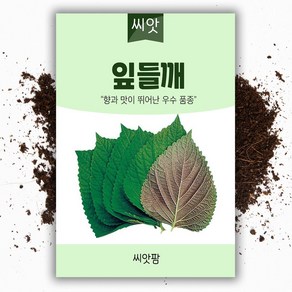 잎들깨 씨앗(1000립) 깻잎씨앗/쌈채소