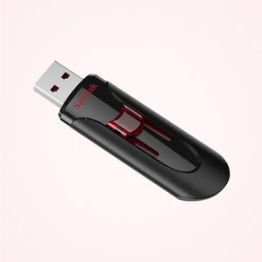 샌디스크 USB 메모리 Cuze Glide 크루저글라이드 USB 3.0 CZ600 256GB