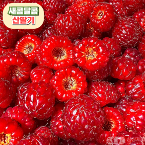 [산지직송] 새콤달콤 생 산딸기, 1개, 250g 3팩