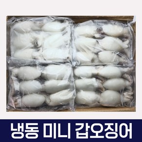 다인수산몰) 갑오징어 베이비이까 미니갑오징어 2.16kg 식당 도매