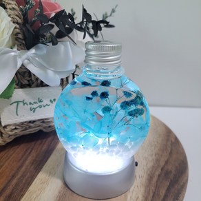 [피아트테라리움] DIY DIY키트 하바리움 하바리움DIY 만들기키트 원예 원예키트원예활동 단체원예 단체만들기 체험활동 B둥근납작용기 + LED전구선택, LED미포함