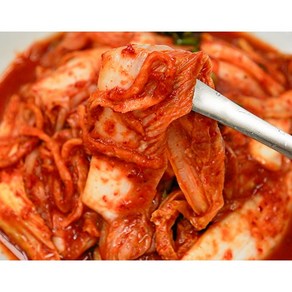 한백김치 겉절이 3kg 5kg 제주배추[100%국내산]