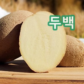 강원농산 정품 두백씨감자 4kg 주말농장 씨감자, 1개