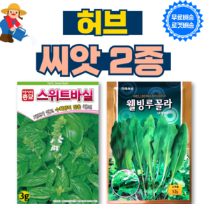 허브씨앗 스위트 바질 루꼴라 씨앗 종자 바실 키우기 basil augula, 1세트