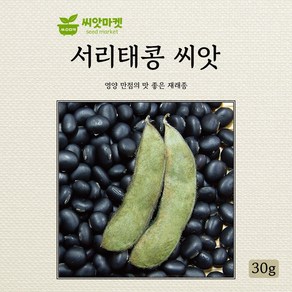 다농 서리태콩 씨앗 30g, 1개