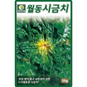 다농 노지 월동시금치 씨앗 20g, 1개