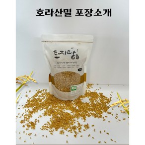 2024년산 유기농 호라산밀, 1개, 1kg