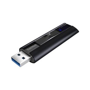 SanDisk 익스트림 프로 USB 31 솔리드 스테이트 플래시 드라이브 블랙 256GB SDCZ880256GG46, 2) 플래시 드라이브  USB 3.1  256GB