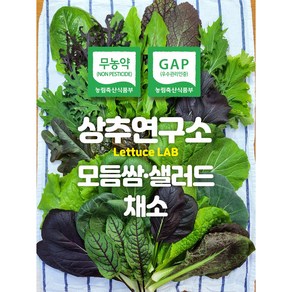 상추연구소 무농약 GAP 모듬 쌈 샐러드 채소(12종 내외) 1kg, 1개