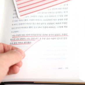 애니캐넌 독서용 밑줄 인덱스 지그재그 레드 롱 플래그 테이프, 지그재그_레드