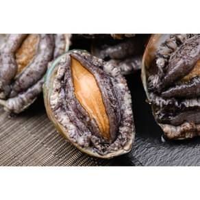 [완도황선장]완도 활전복 1kg 5-11미까지(손질칼 증정), 1개, [초특가]10-11미 1kg