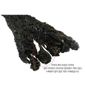 동해바다 자연산 돌미역(산모미역)