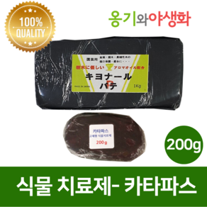 카타파스200g 식물상처치료제 아로마