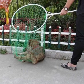 포획 그물망 뜰채 포획망 고양이 강아지 구조, 1개