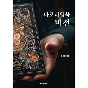 타로리딩북 비전