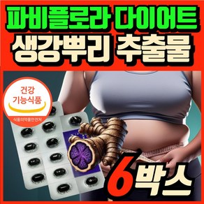 파비플로라 다이어트 식 약 청인증 생강뿌리 추출물 텍토크리신 비타민c 세트구성 에스아이컴퍼니, 6박스, 14회분