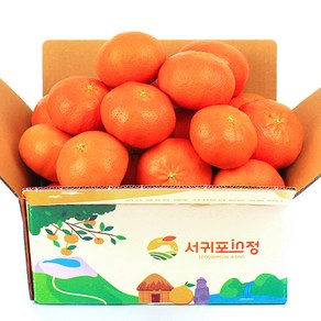 서귀포인정 당도선별 제주 레드향, 1박스, 레드향 1.5kg 실속형