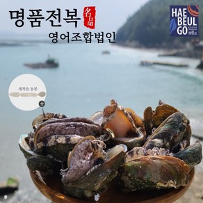 완도 명품 활전복 특 7-8미 1KG [손질솔 증정]