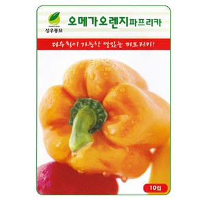 오메가 오렌지 파프리카 씨앗 10립 파프리카씨 종자 키우기, 1개