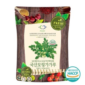 푸른들판 국산 순수 모링가 잎 분말 가루 100% 국내산 건잎 차 파우더 HACCP 인증, 500g, 1개