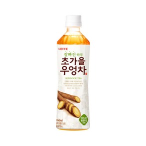 롯데칠성음료 잘빠진 하루 초가을 우엉차