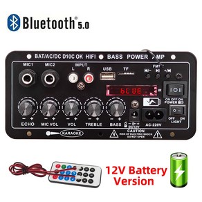 홈 서브우퍼 220V 보드 디지털 듀얼 마이크 DIY 12V 앰프 블루투스 스피커 가라오케 시어터 버전 충전식, [01] US Plug, 01 US Plug