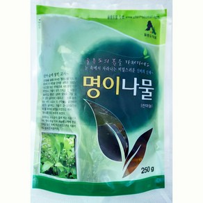 울릉도 명이나물 자연산 (산마늘) 절임 장아찌 명이잎 울릉도나물 생산자 직배송, 1개, 250g