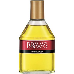 Shiseido Bravas Hair Liquid 시세이도 브라바스 헤어 리퀴드 윤기 정돈 마무리 270ml 2팩