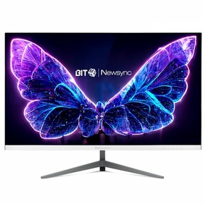 비트엠 Newsync BG249F 게이밍 165 HDR 화이트 무결점 모니터, 1