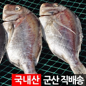 제사 제수용 반건조생선 세트 조기 장대 박대 병어 도미, 제수용 도미 1미 500g 내외, 1개