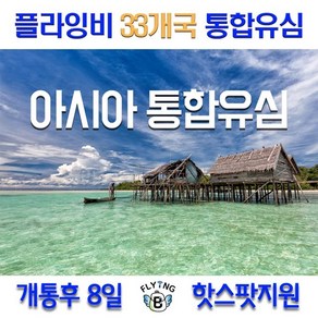 플라잉비 아시아33개국통합유심 8일 LTE 6GB 핫스팟지원