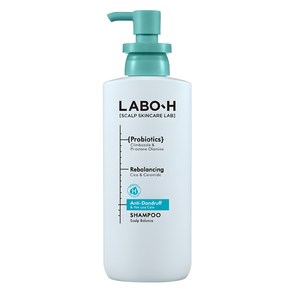 라보에이치 댄드 러프 클리닉 비듬 두피 각질 케어 약산성 샴푸, 400ml, 1개
