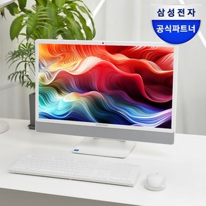 삼성전자 올인원 일체형 PC 프로스트 화이트 DM530ADA-L25AH (팬티엄-7505 60.5cm WIN11 RAM 8GB SSD 256GB), 256GB, WIN11 Po