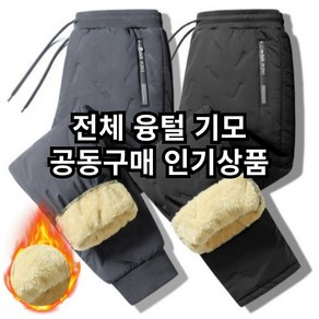 잇다이가 겨울 남자 방한융털 트레이닝 패딩바지 남성 팬츠 조거형 일자형