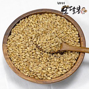 힘찬농부오달봉 국산 통밀, 5kg, 1개